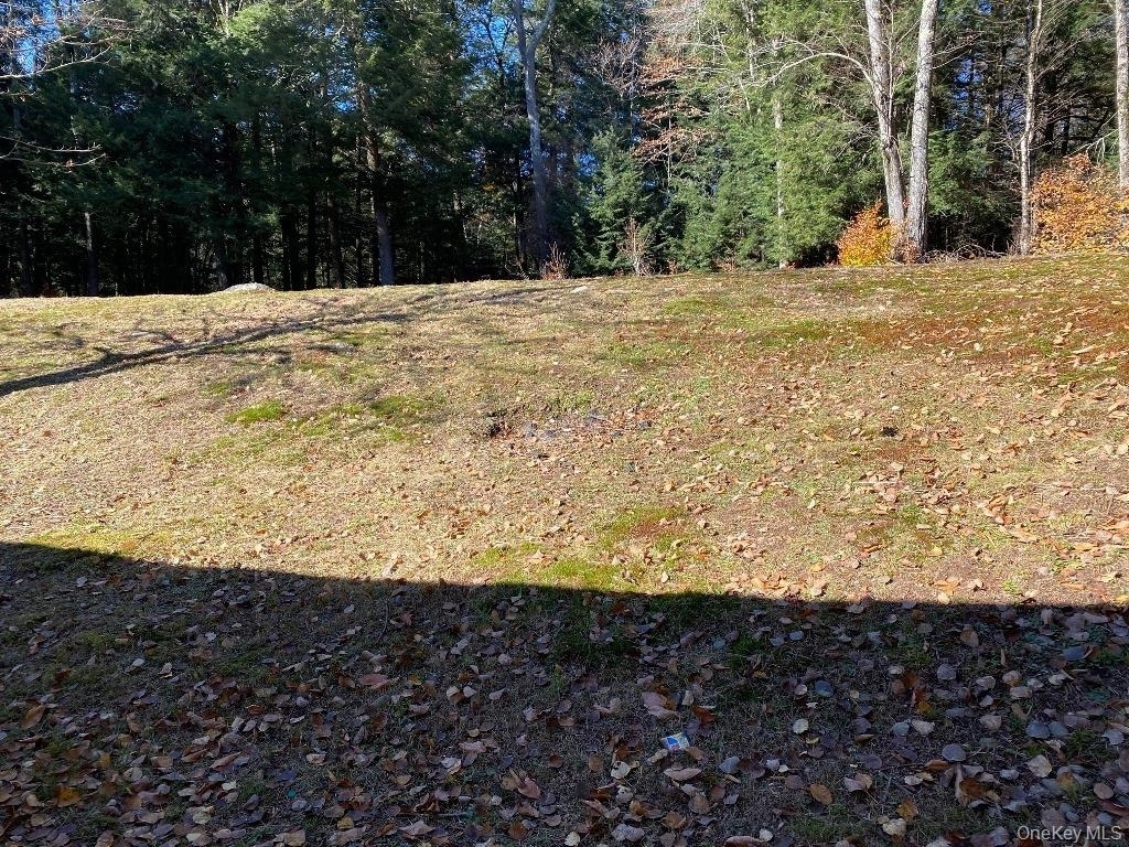 141 Gale Road - Photo 18