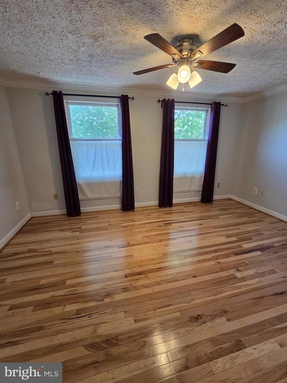 8332 Rocky Forge Court - Photo 11