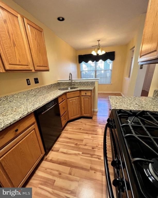 3303 Sterling Road - Photo 3