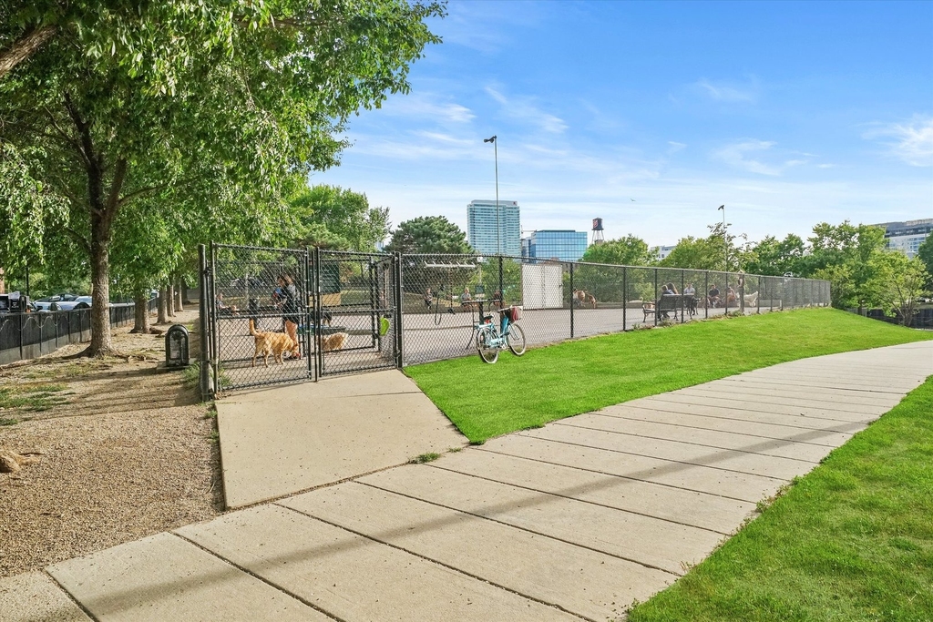 700 N Larrabee Street - Photo 29