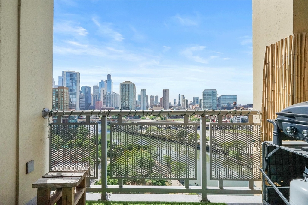 700 N Larrabee Street - Photo 1