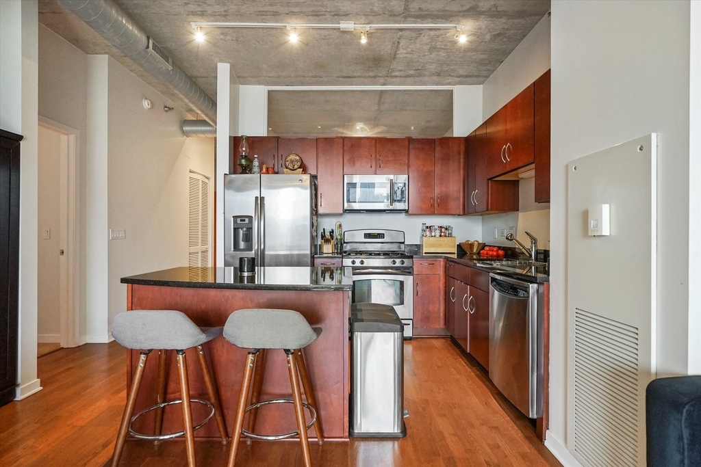 700 N Larrabee Street - Photo 5