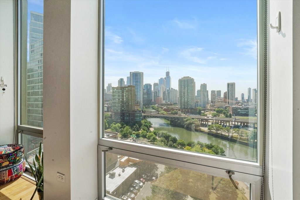 700 N Larrabee Street - Photo 13