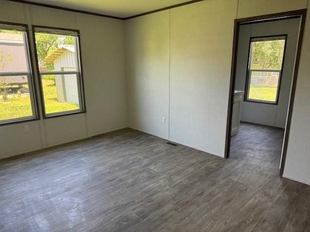 21071 Pinetex - Photo 6