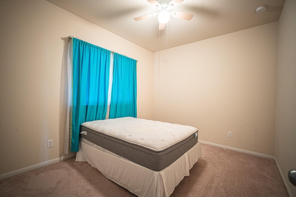4138 Falvel Shadow Creek Drive - Photo 15