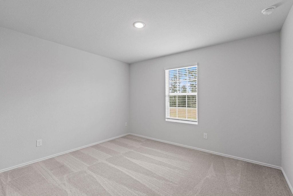 22927 Great Egret Drive - Photo 13