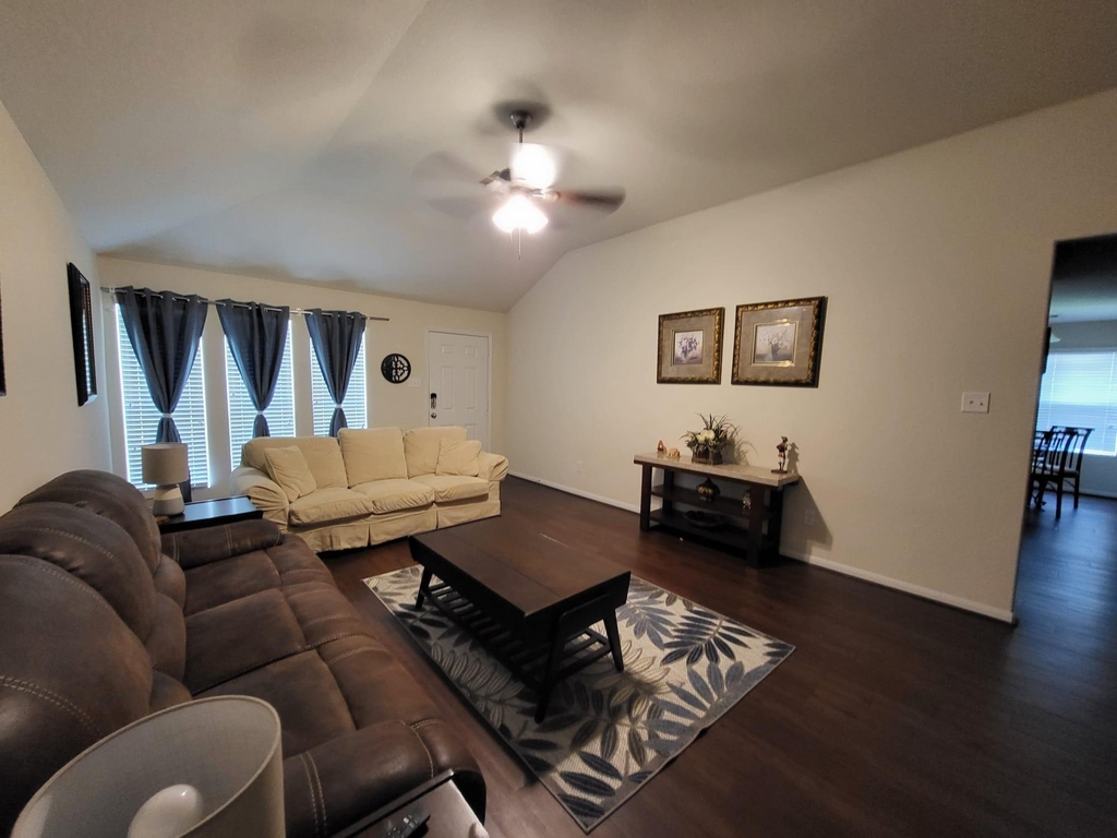 10739 Chestnut Path Way - Photo 1