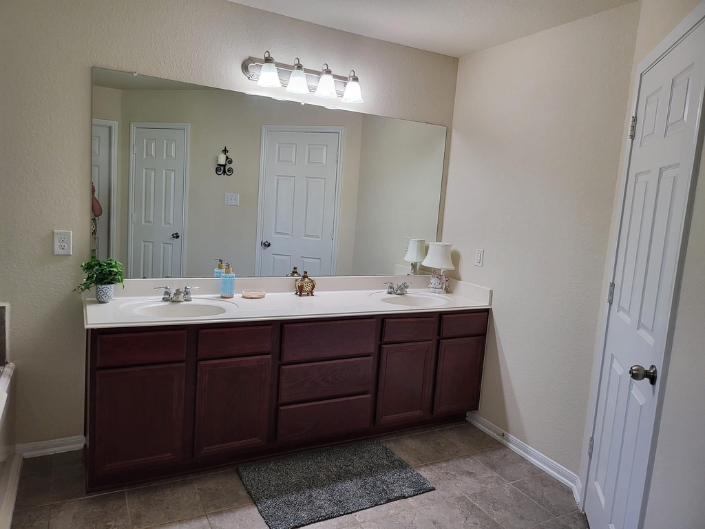 10739 Chestnut Path Way - Photo 9