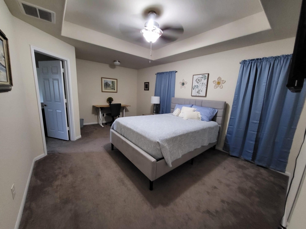 10739 Chestnut Path Way - Photo 12