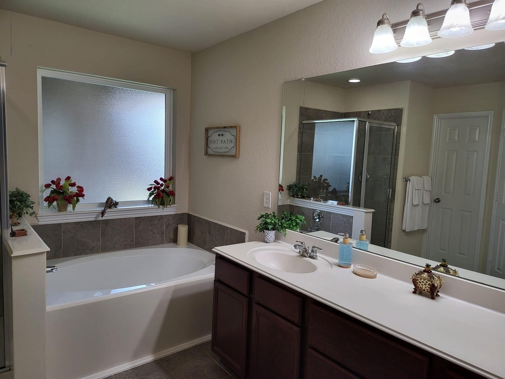 10739 Chestnut Path Way - Photo 10