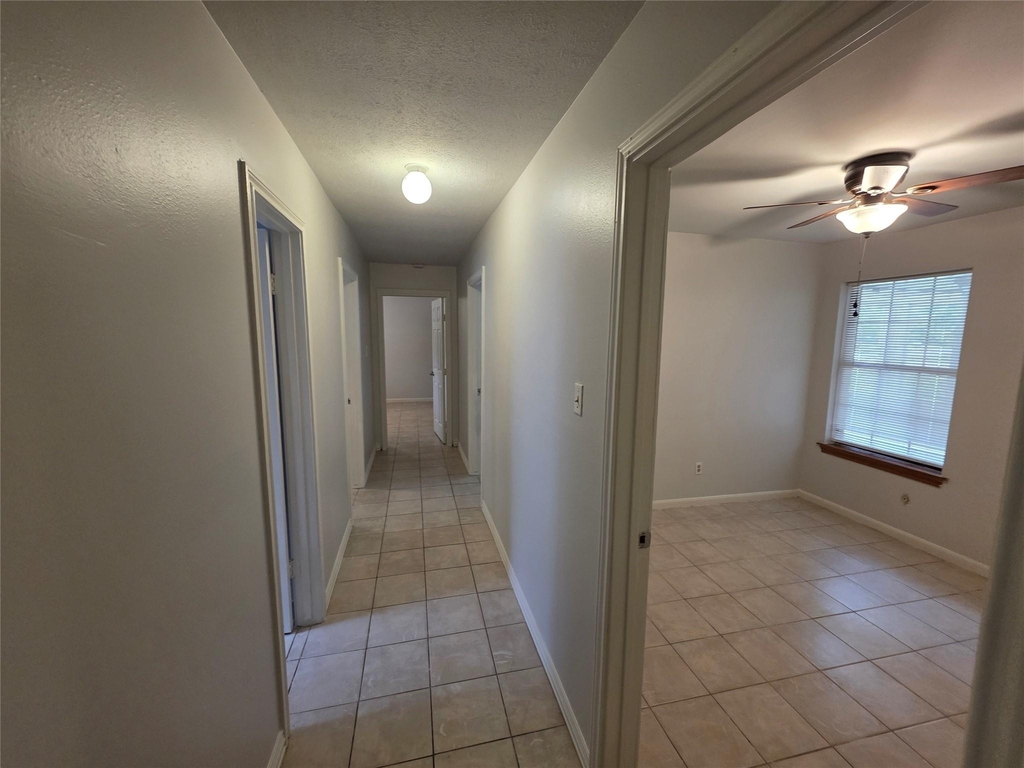 3414 Bristlecone Trail - Photo 9