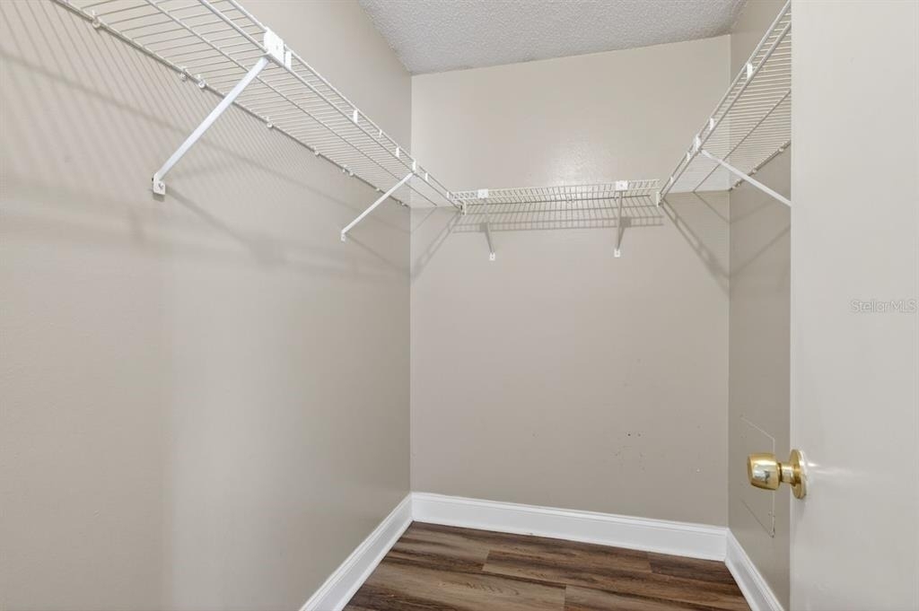 14319 Hanging Moss Circle - Photo 15