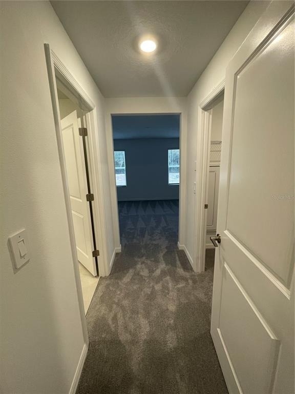 10114 Honey Hammock Way - Photo 9