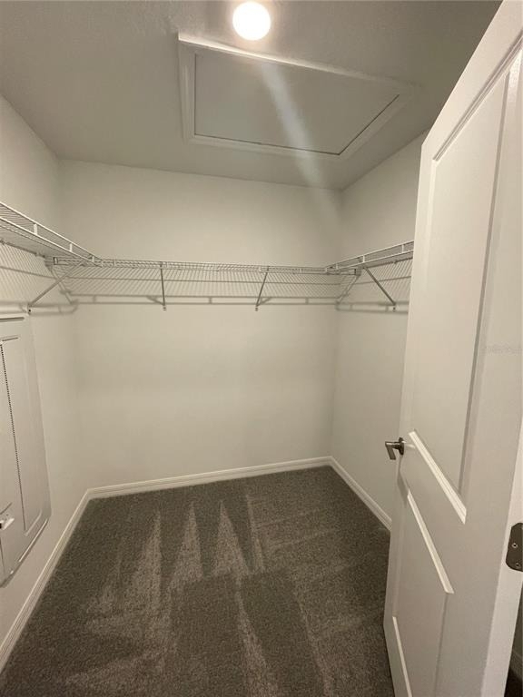 10114 Honey Hammock Way - Photo 10