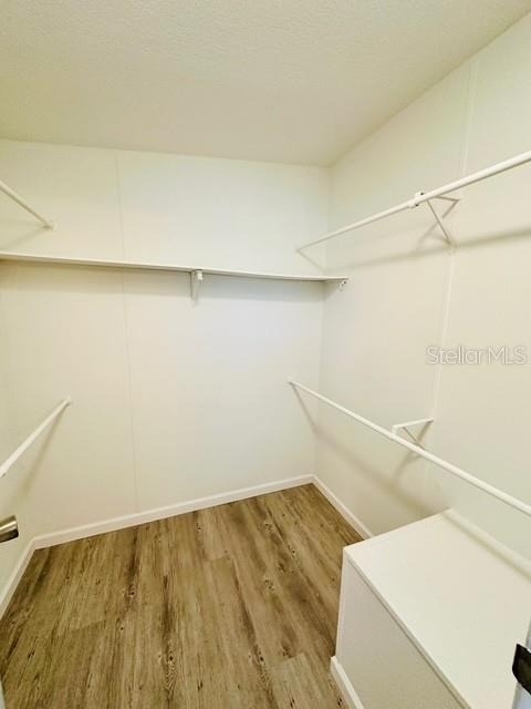 6814 Redwing Road - Photo 13