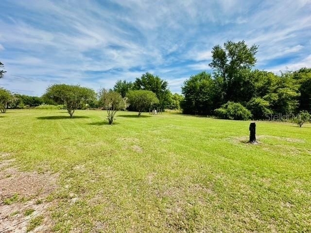 6814 Redwing Road - Photo 7