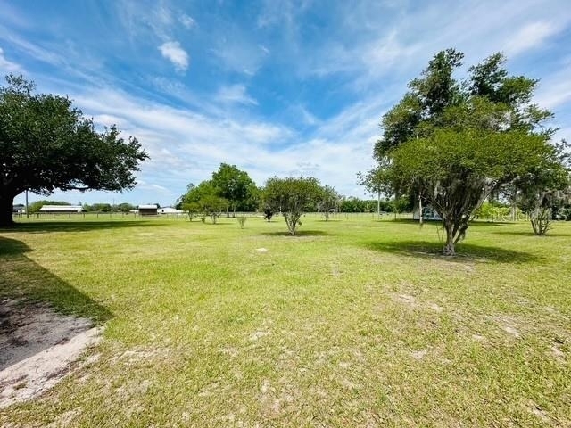 6814 Redwing Road - Photo 8