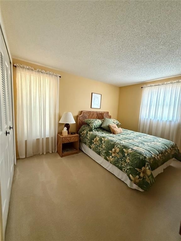 12884 Bacchus Road - Photo 29