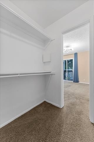 4859 Cedar Springs Road - Photo 20