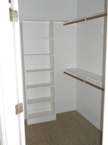 202 Ruger Street - Photo 11