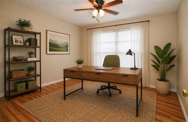 5301 Wooten Drive - Photo 12