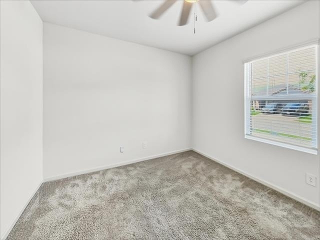 1713 Escondido Drive - Photo 13