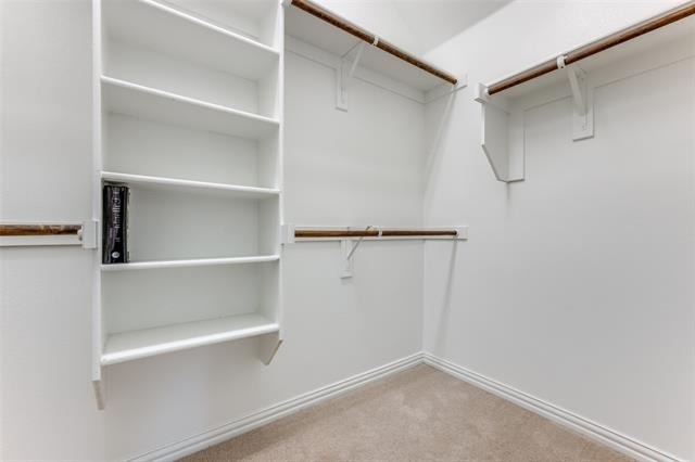 14805 Gilley Lane - Photo 13
