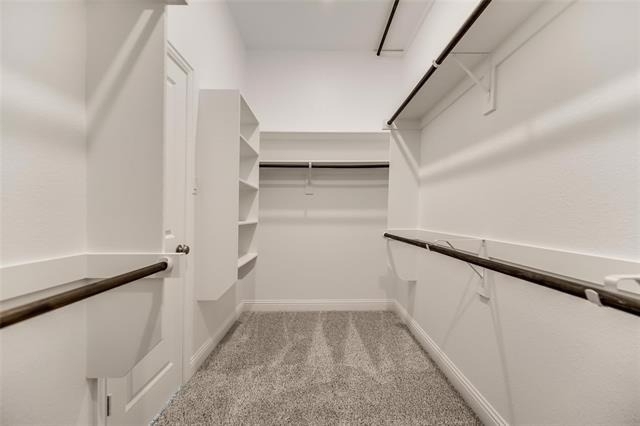 5908 Horsetail Drive - Photo 12