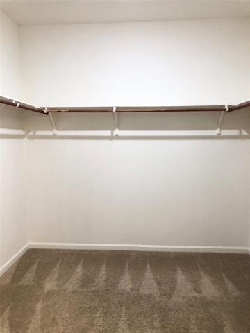 921 Bois D Arc Lane - Photo 16