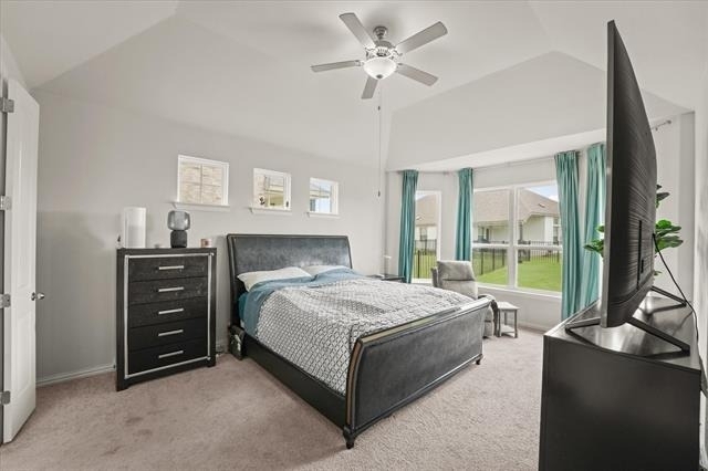 3217 Flowering Peach Drive - Photo 13