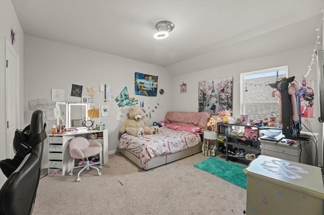 3217 Flowering Peach Drive - Photo 19