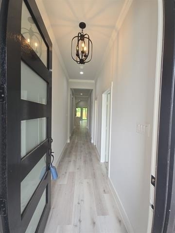 1609 Sharon Street - Photo 4
