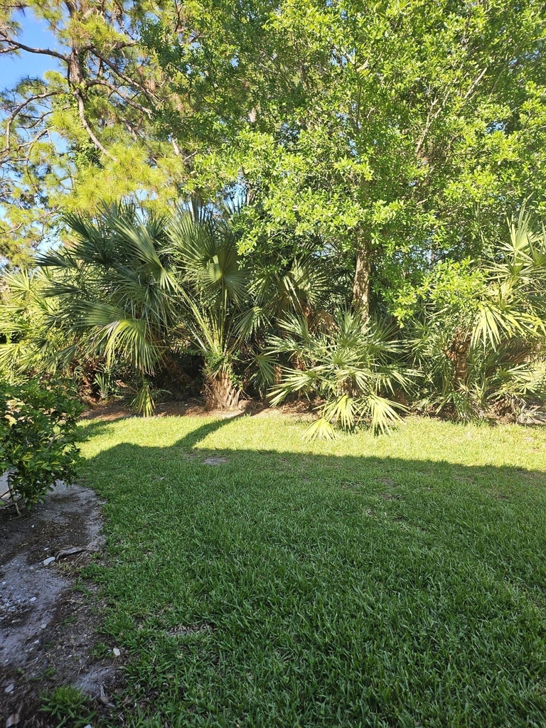 8421 Mulligan Circle - Photo 10