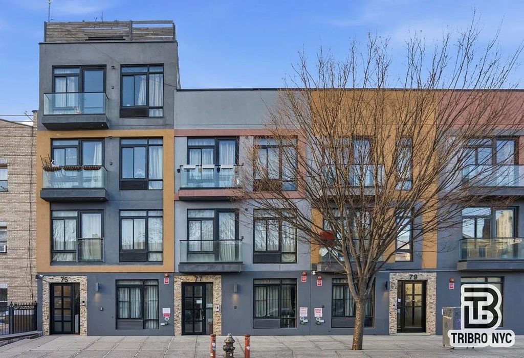 77 Suydam Street - Photo 8