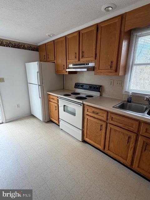9012 Rabbit Road N - Photo 2