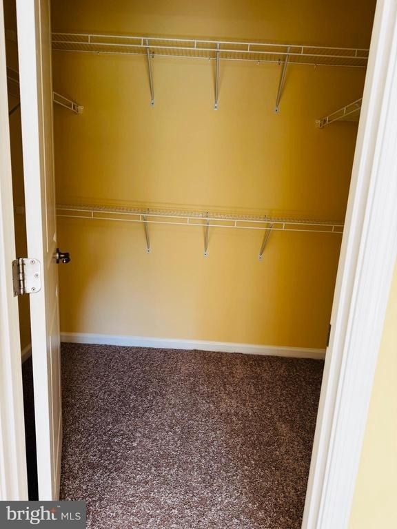 8058 Locust Mill Street - Photo 3