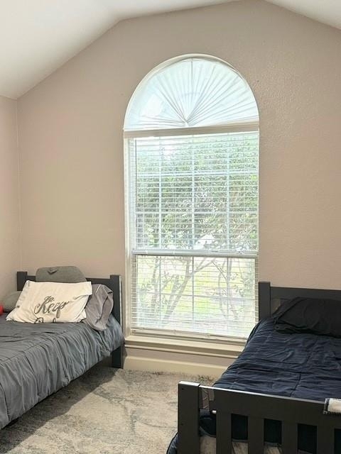 2224 Kerr Trl - Photo 14