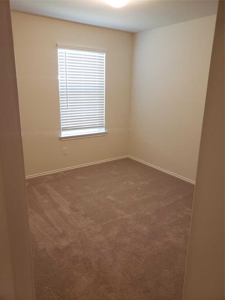 24006 Swather Way - Photo 16