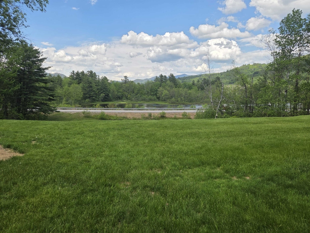 21 Overlook - Photo 2