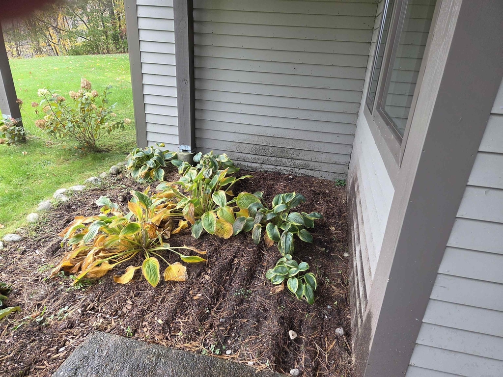 21 Overlook - Photo 21
