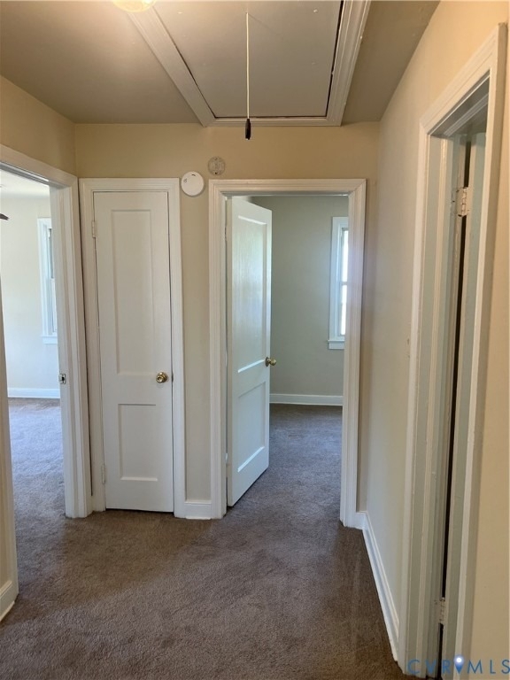 2107 Johnson Street - Photo 5