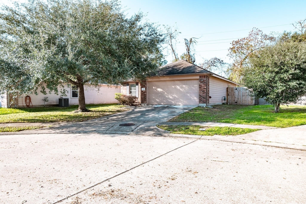 6227 Lovage Avenue - Photo 4