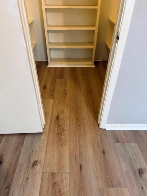 5102 Parsley Street - Photo 10