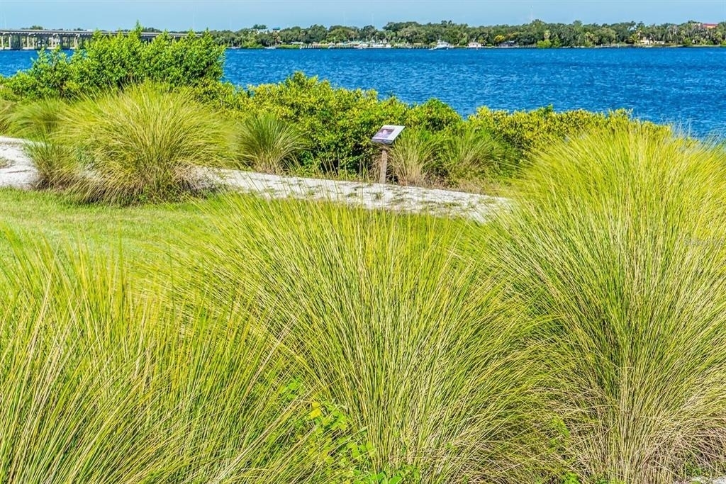 917 Tidewater Shores Loop - Photo 39