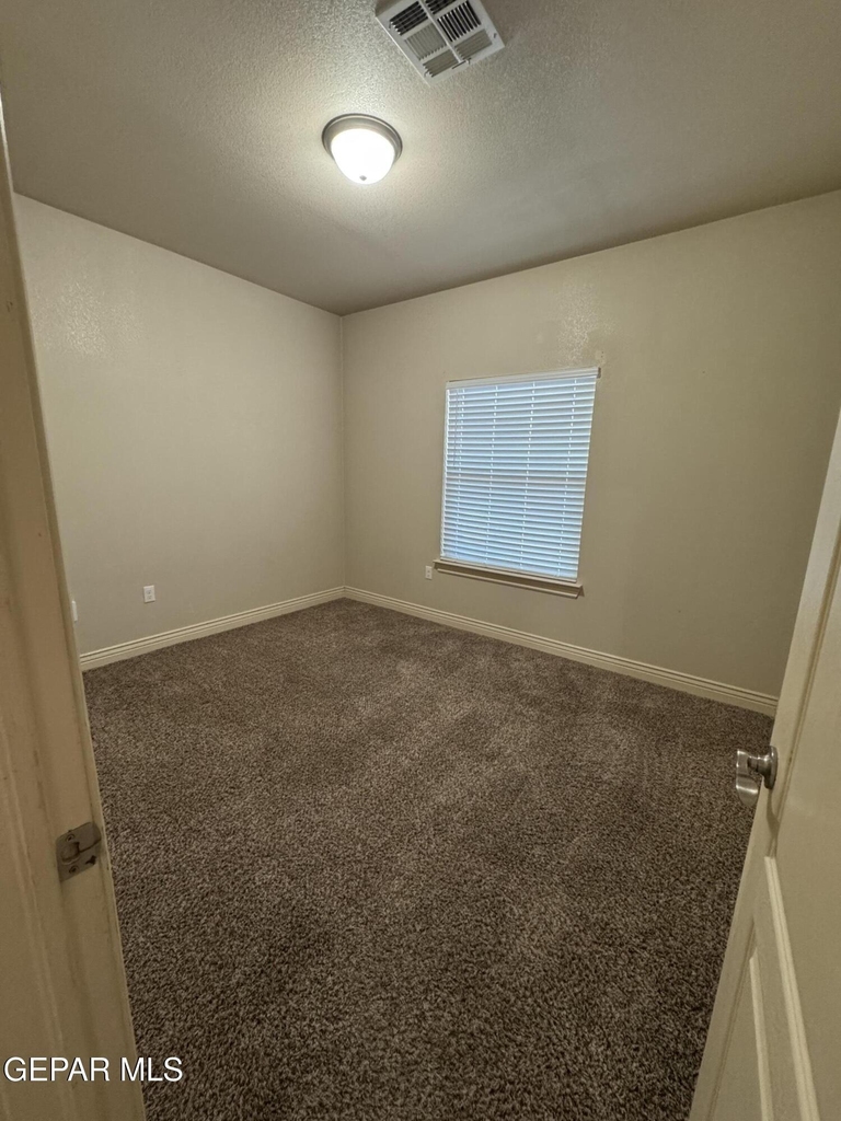 12872 Hueco Mine Drive - Photo 11