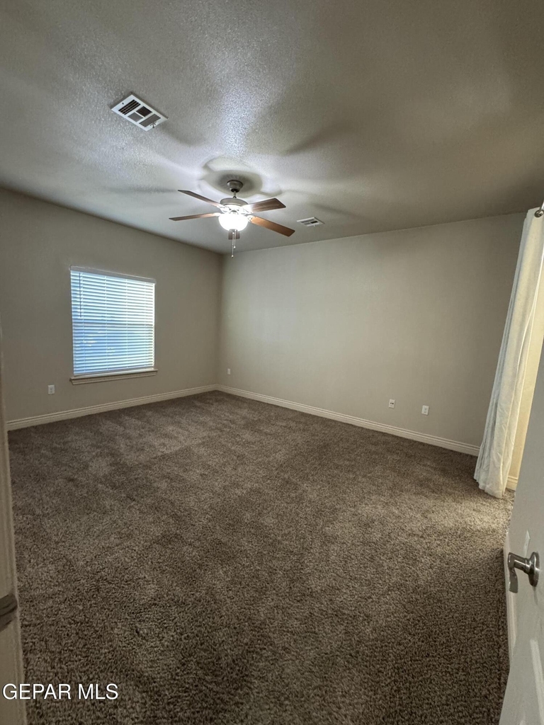 12872 Hueco Mine Drive - Photo 10