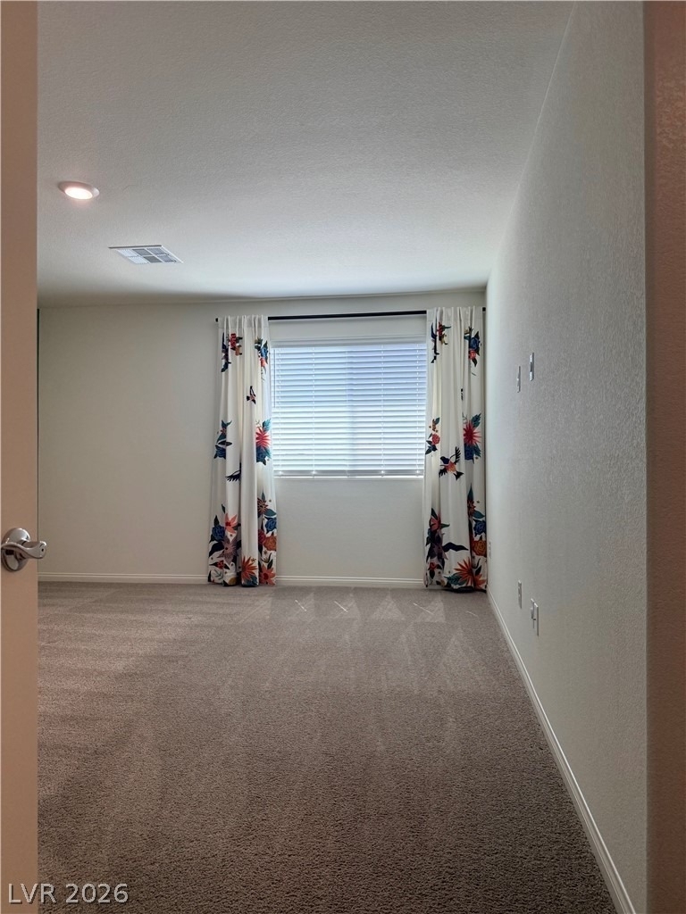 2626 Blue Dawn Falls Avenue - Photo 46