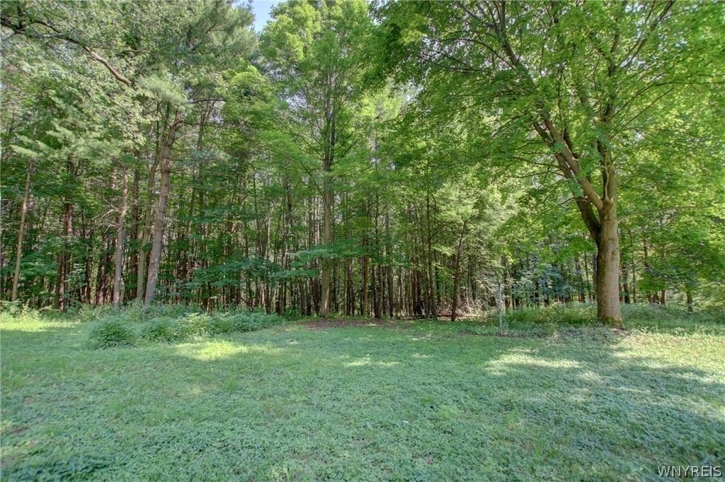 5880 Draudt Road - Photo 3