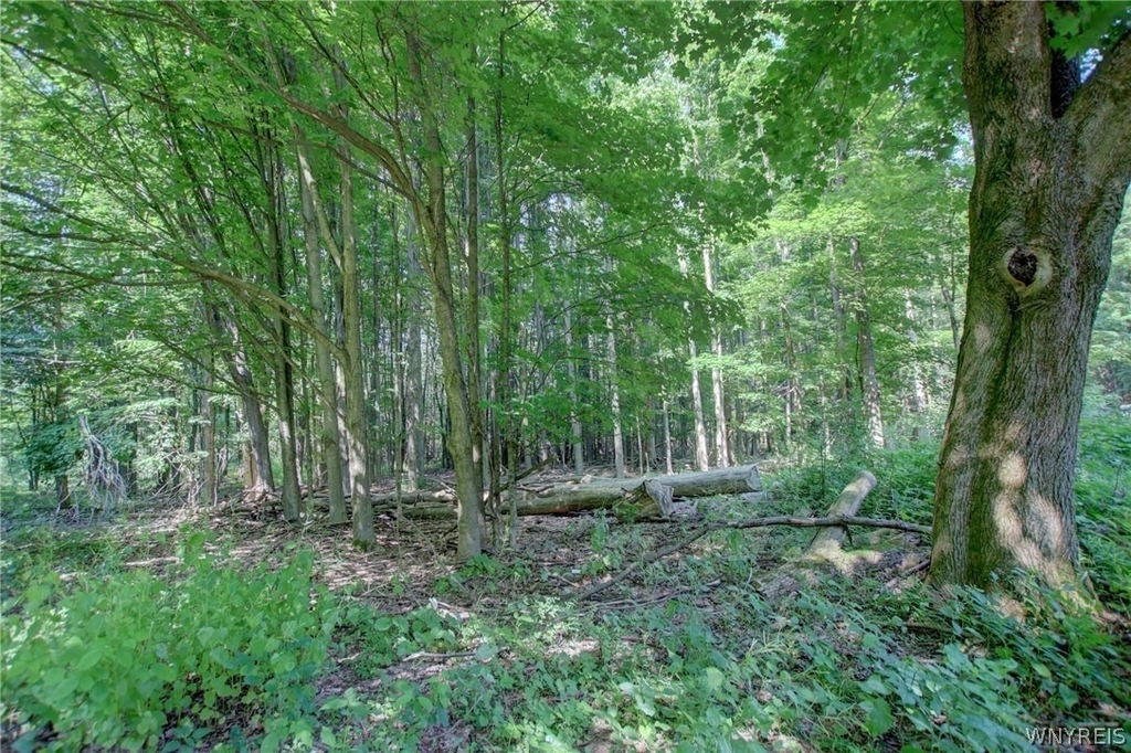 5880 Draudt Road - Photo 7