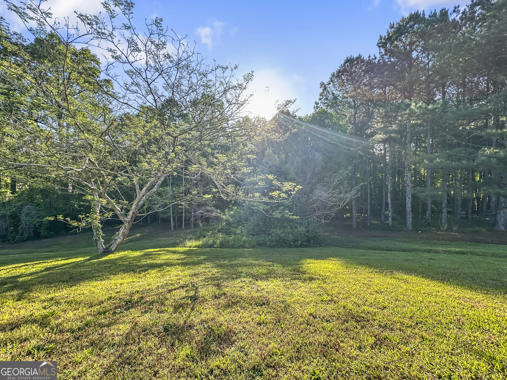 11084 Knotty Pine Place - Photo 16